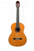 yamaha c-40 гитара классическая, дека ель, корпус меранти, гриф нато, накладка на гриф палисандр, ко