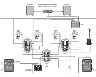 amt electronics ts-2 true selector пассивный двухканальный коммутатор (селектор)